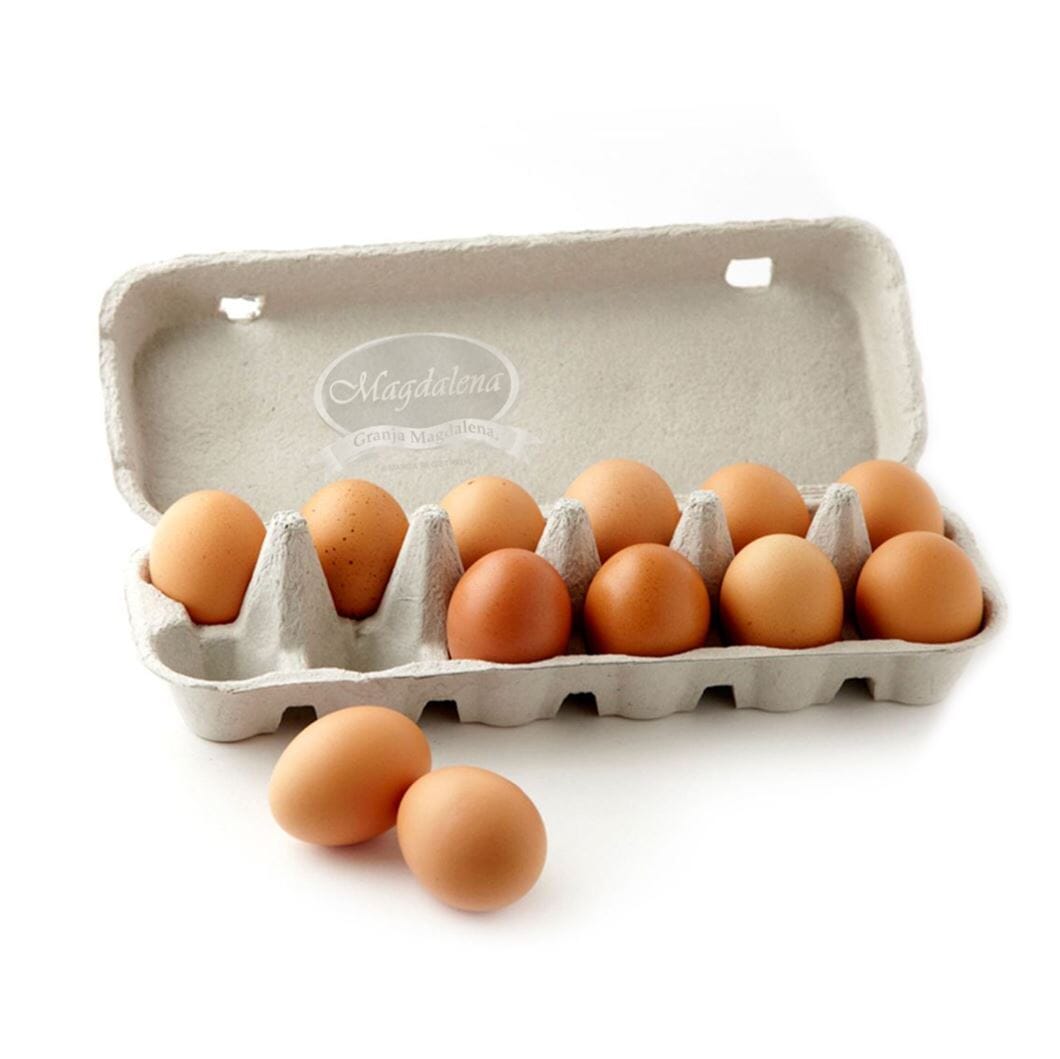 Huevos de campo